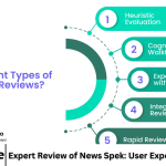 Expert Review of News Spek: User Experience Insights